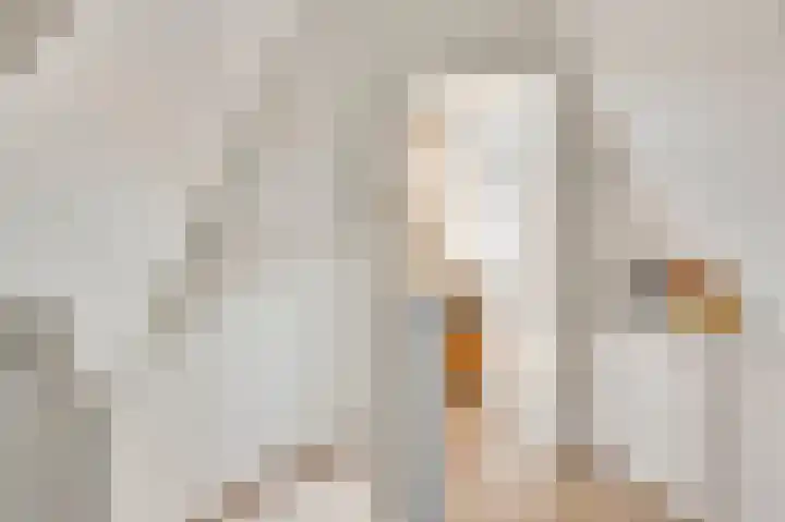 Walestraat 35 Stramproy thumbnail 35