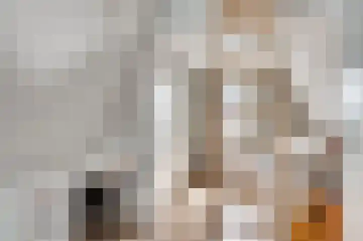 Walestraat 35 Stramproy thumbnail 36