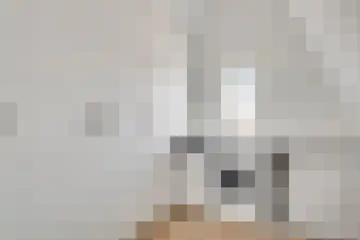 Walestraat 35 Stramproy thumbnail 37