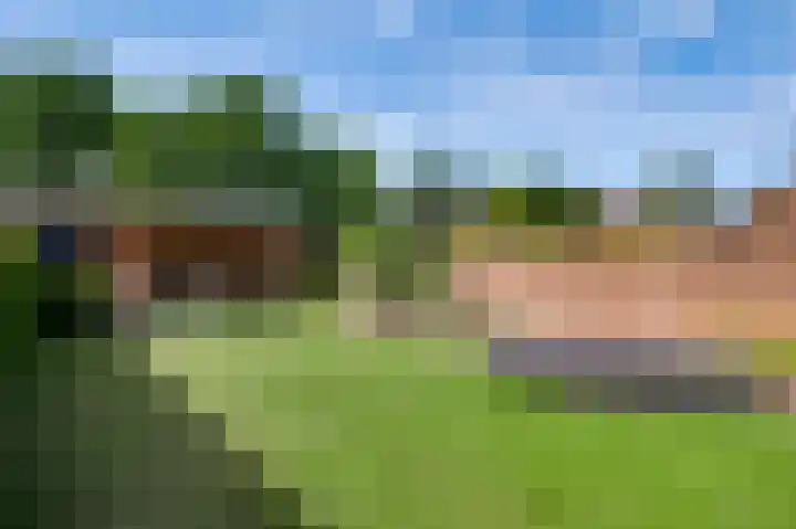 Walestraat 35 Stramproy thumbnail 4