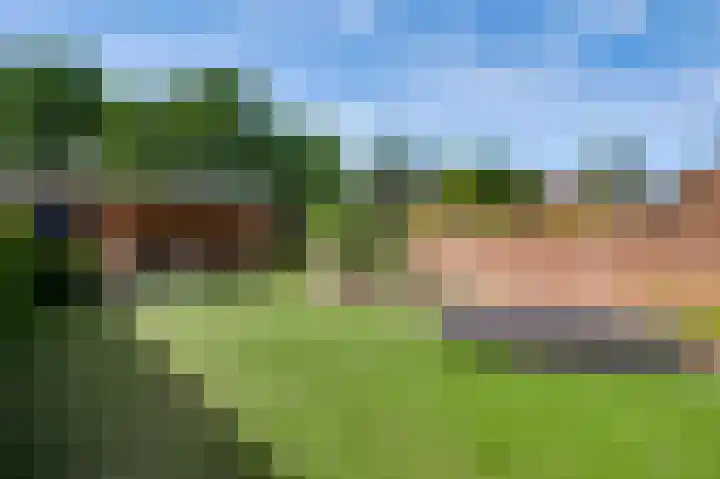 Walestraat 35 Stramproy thumbnail 41