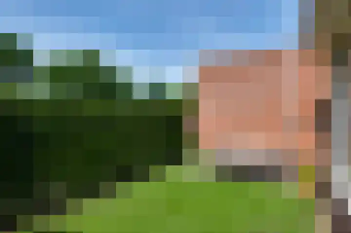 Walestraat 35 Stramproy thumbnail 44