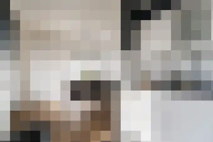 Walestraat 9 Stramproy thumbnail 10