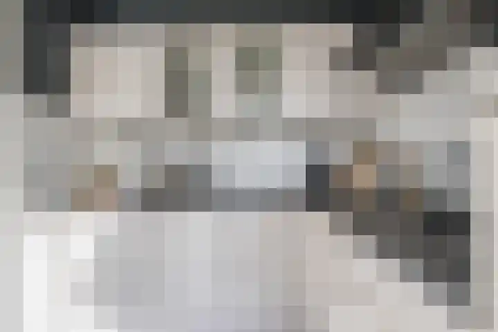 Walestraat 9 Stramproy thumbnail 11