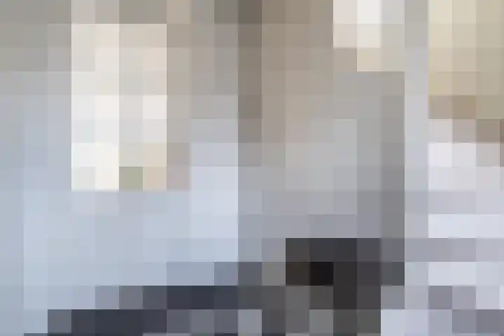 Walestraat 9 Stramproy thumbnail 13