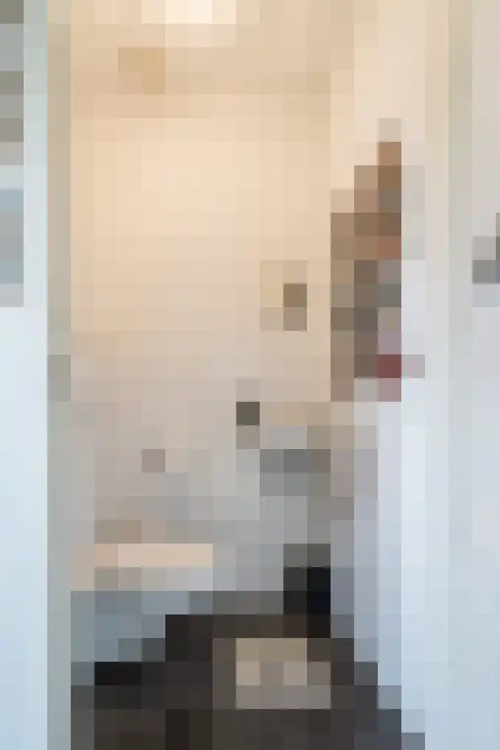 Walestraat 9 Stramproy thumbnail 14