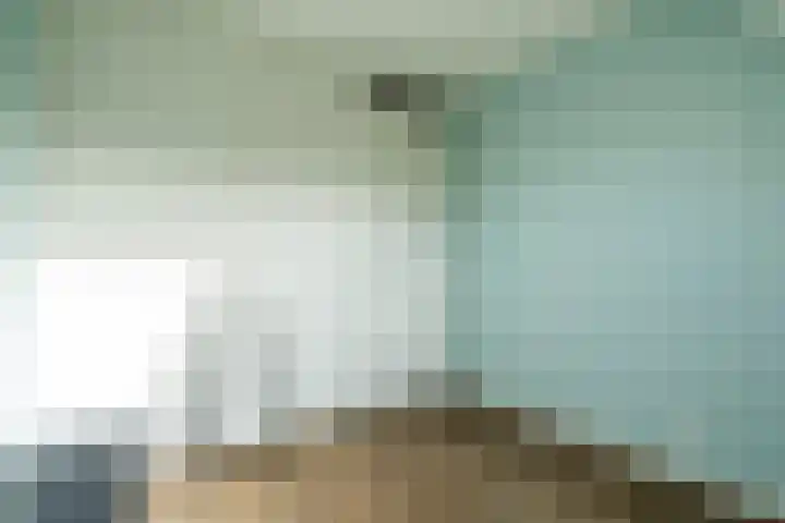 Walestraat 9 Stramproy thumbnail 21