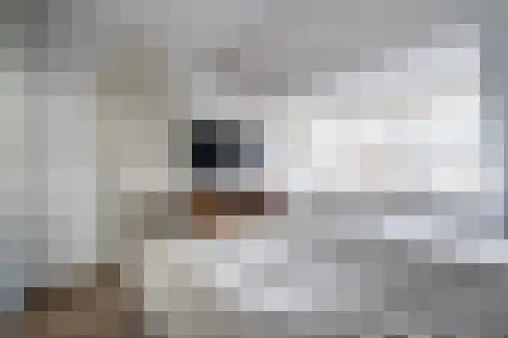 Walestraat 9 Stramproy thumbnail 22