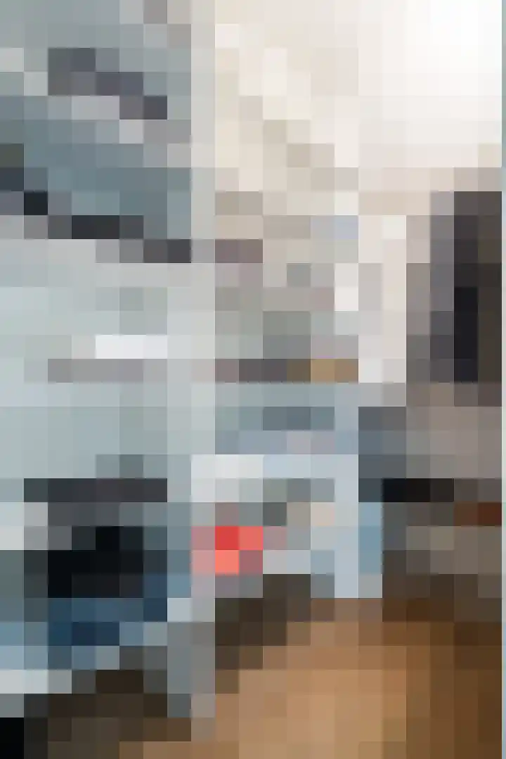 Walestraat 9 Stramproy thumbnail 24