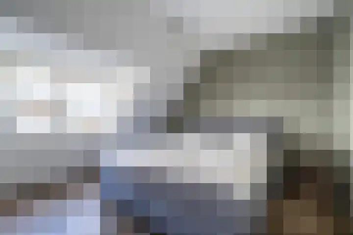 Walestraat 9 Stramproy thumbnail 25