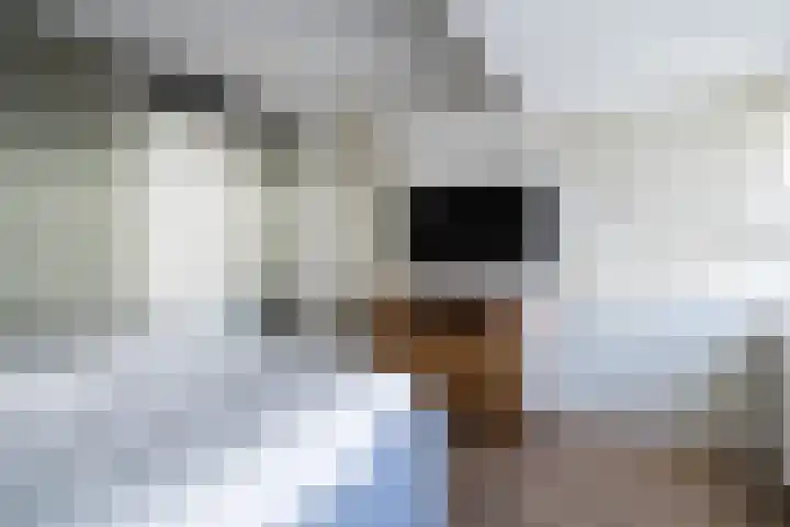 Walestraat 9 Stramproy thumbnail 26