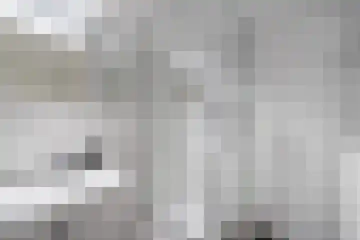 Walestraat 9 Stramproy thumbnail 28