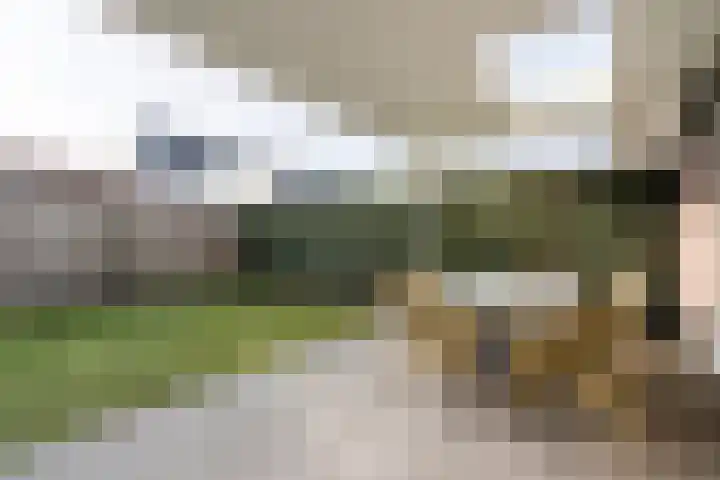 Walestraat 9 Stramproy thumbnail 40