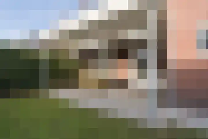 Walestraat 9 Stramproy thumbnail 42