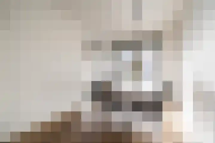 Walestraat 9 Stramproy thumbnail 7