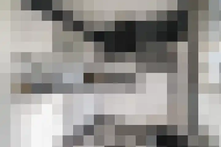 Walestraat 9 Stramproy thumbnail 9