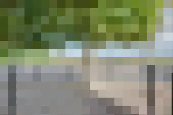 Walewegje 6 Strijen thumbnail 14