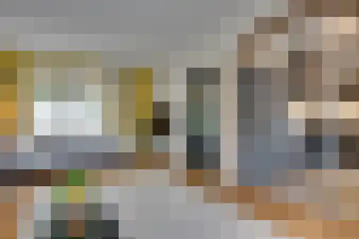 Walewegje 6 Strijen thumbnail 15