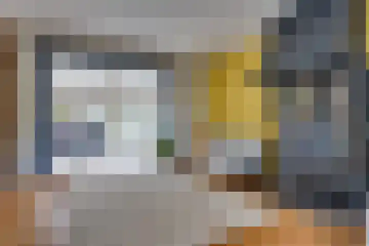 Walewegje 6 Strijen thumbnail 19