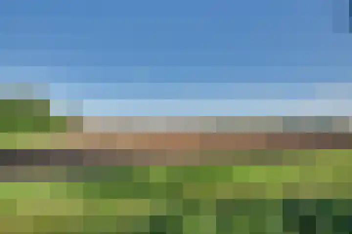 Walewegje 6 Strijen foto 2