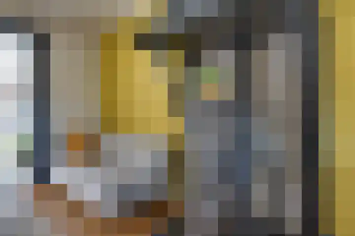 Walewegje 6 Strijen thumbnail 21