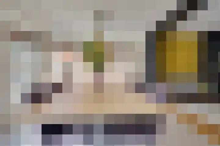 Walewegje 6 Strijen thumbnail 29