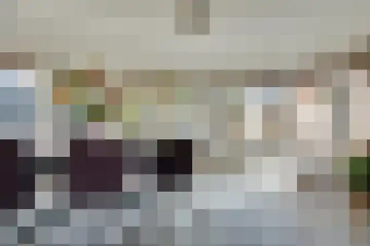 Walewegje 6 Strijen thumbnail 30