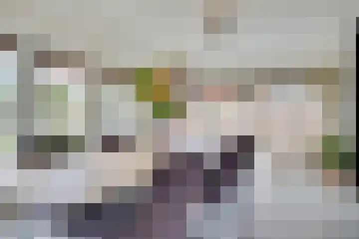 Walewegje 6 Strijen thumbnail 32