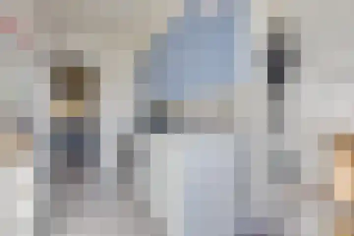 Walewegje 6 Strijen thumbnail 34
