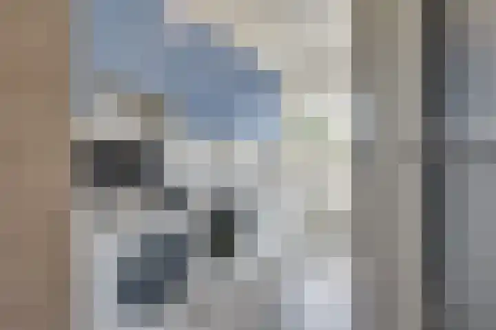 Walewegje 6 Strijen thumbnail 35