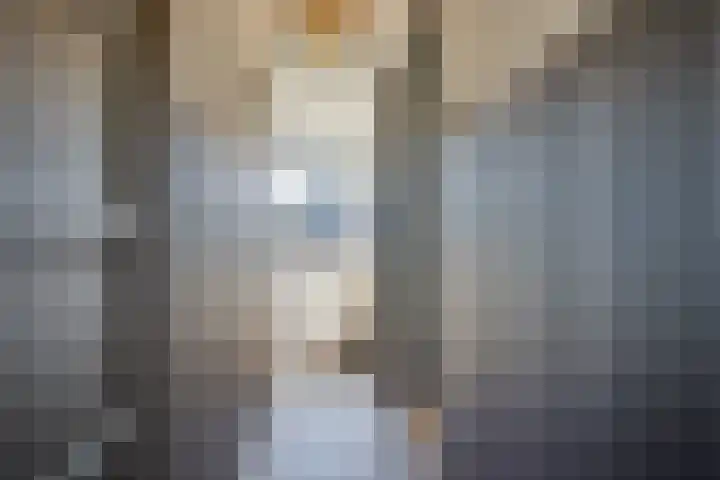 Walewegje 6 Strijen thumbnail 37