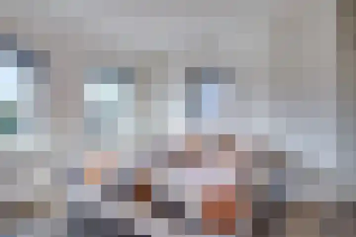 Walewegje 6 Strijen thumbnail 41