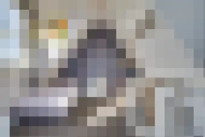 Walewegje 6 Strijen thumbnail 47