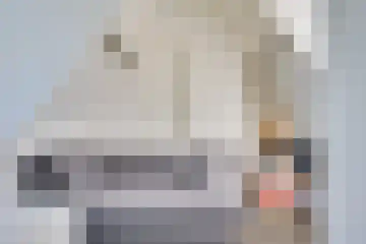 Walewegje 6 Strijen thumbnail 48
