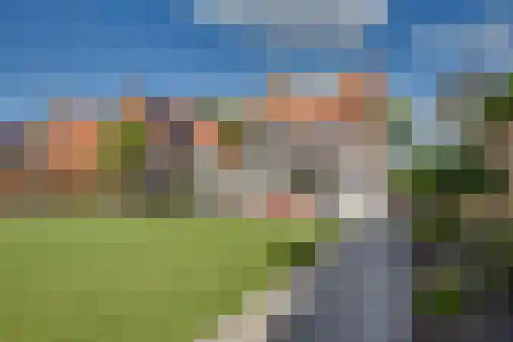 Walewegje 6 Strijen thumbnail 51