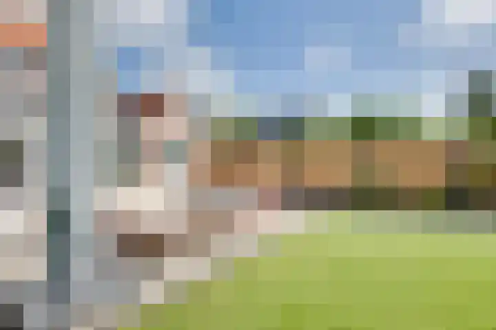 Walewegje 6 Strijen thumbnail 52
