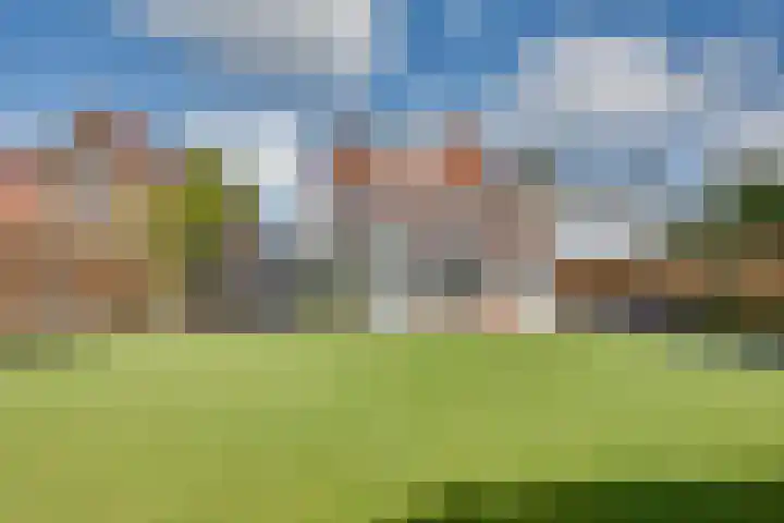 Walewegje 6 Strijen thumbnail 6