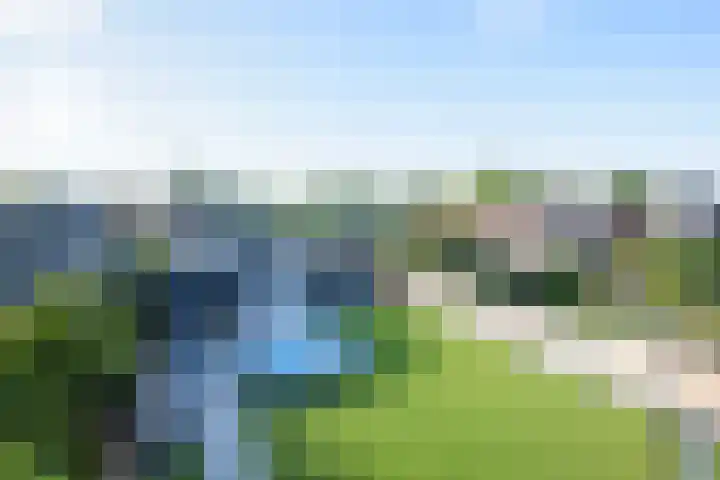 Walewegje 6 Strijen thumbnail 61