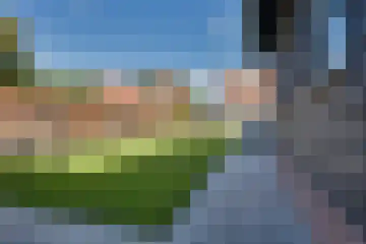 Walewegje 6 Strijen thumbnail 67