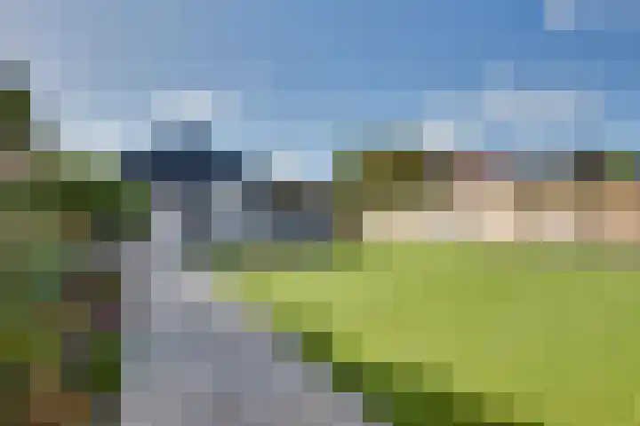 Walewegje 6 Strijen thumbnail 7