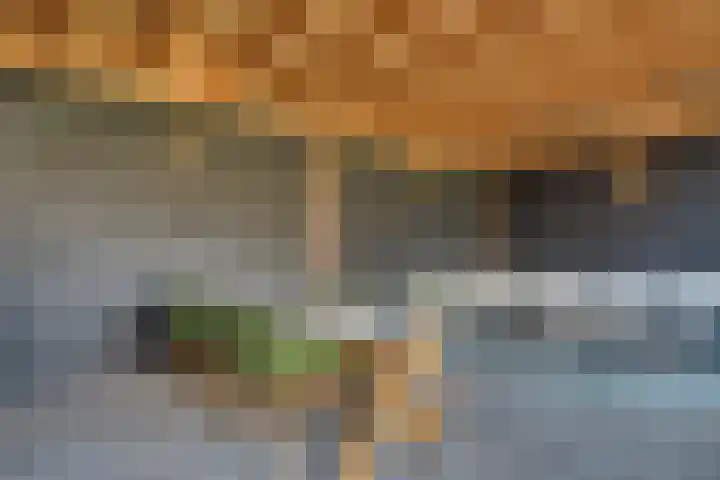 Walewegje 6 Strijen thumbnail 70