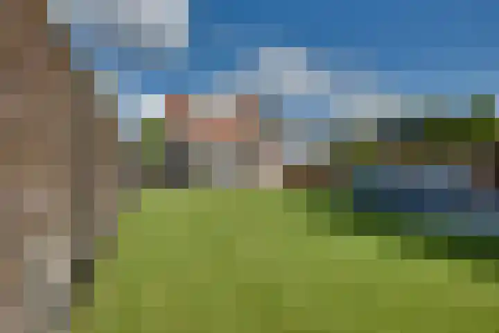 Walewegje 6 Strijen thumbnail 73