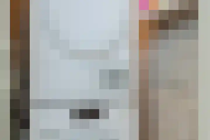 Waleweinlaan 110 Geldrop thumbnail 14