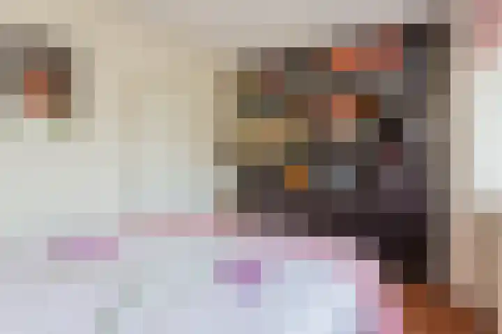 Waleweinlaan 110 Geldrop thumbnail 18
