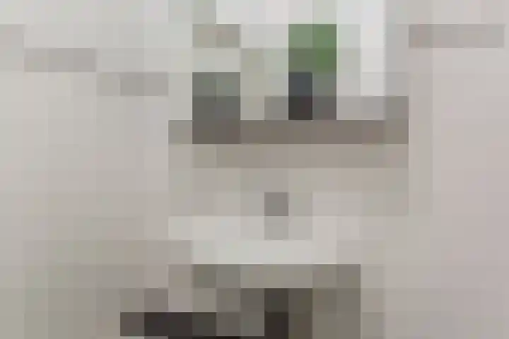 Waleweinlaan 110 Geldrop thumbnail 26