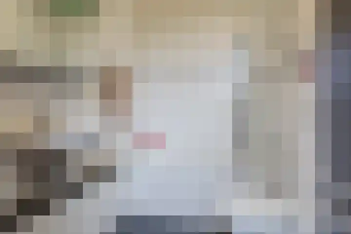Waleweinlaan 110 Geldrop thumbnail 27