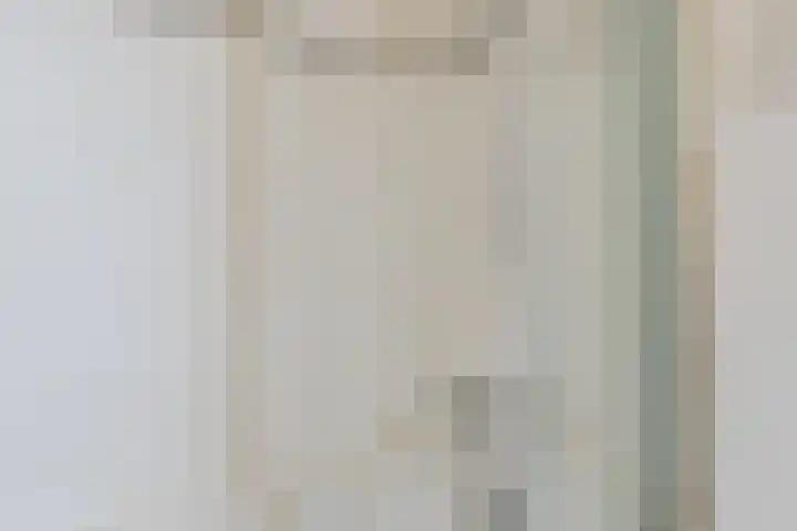 Waleweinlaan 110 Geldrop thumbnail 28