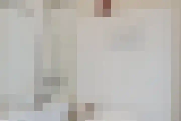 Waleweinlaan 110 Geldrop thumbnail 29