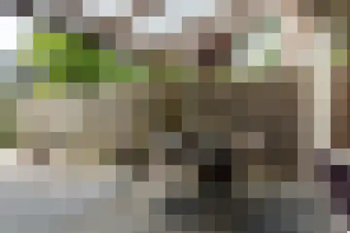 Waleweinlaan 110 Geldrop thumbnail 38