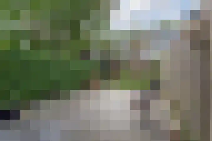 Waleweinlaan 110 Geldrop thumbnail 40